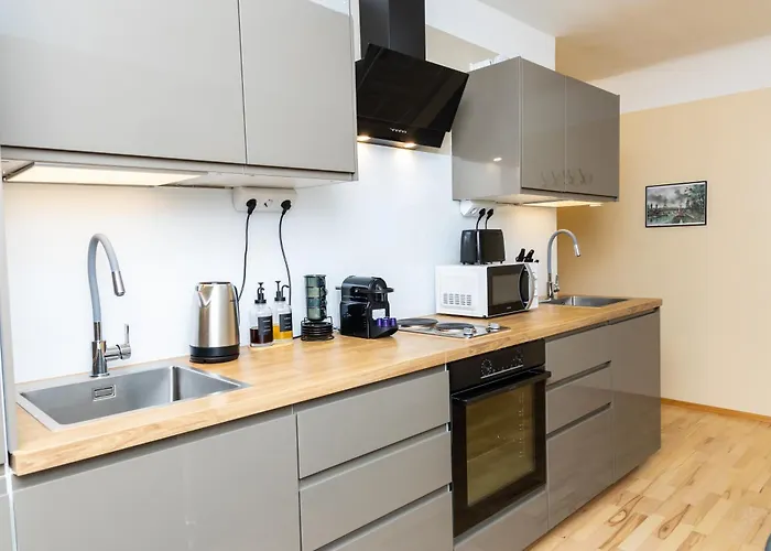 Boutique L With Ac L Stylish And Spacious Apartament Wiedeń